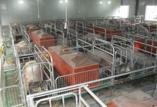 養(yǎng)豬場凈水設備